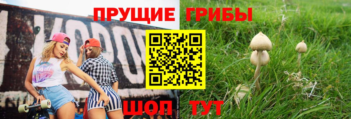 Галлюциногенные грибы прущие грибы  Вход с VPN  Кириши 